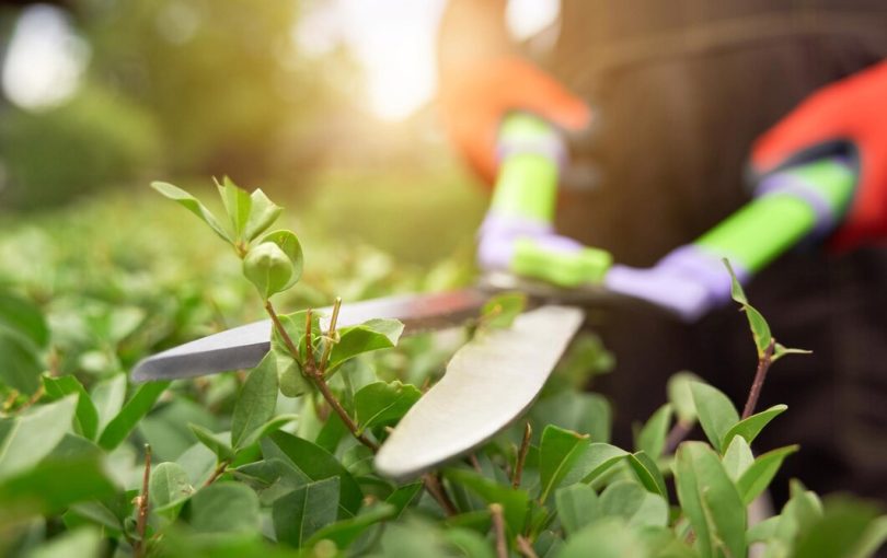Wykorzystanie maszyn ogrodniczych w praktyce: przegląd zastosowań i korzyści