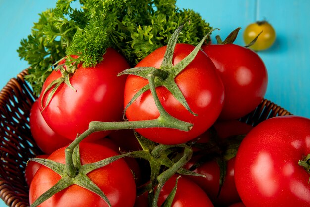 Jak skuteczne są nawozy dolistne w optymalizacji wzrostu i zdrowia pomidorów?